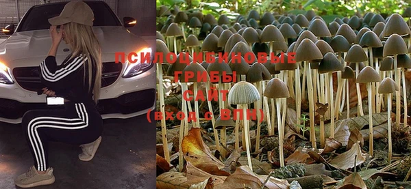 PSILOCYBIN Алексин