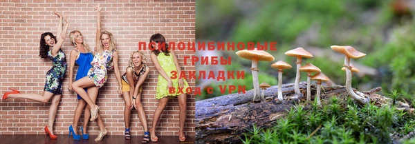 PSILOCYBIN Алексин