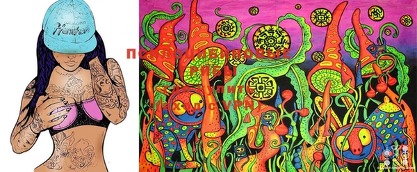 PSILOCYBIN Алексин